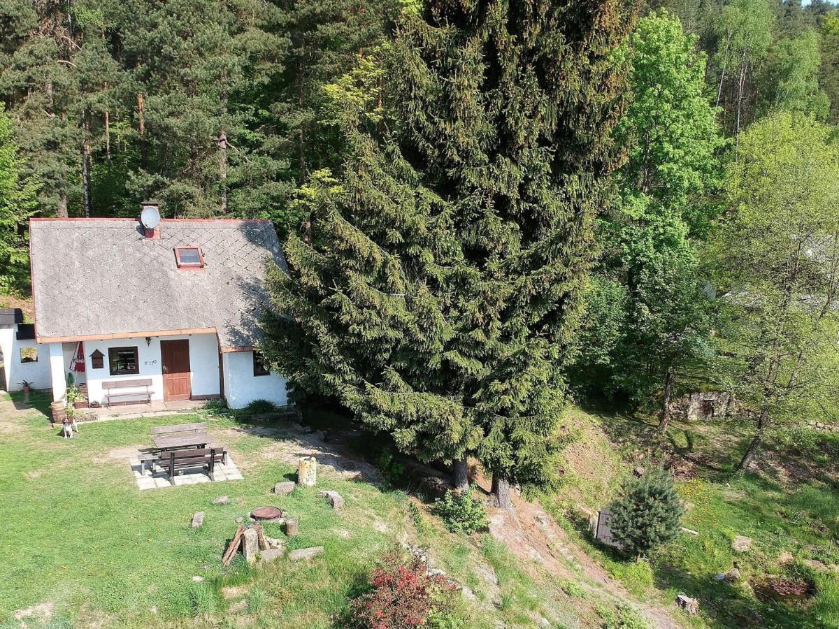 Small At The Edge Of The Forest Mala Skala
