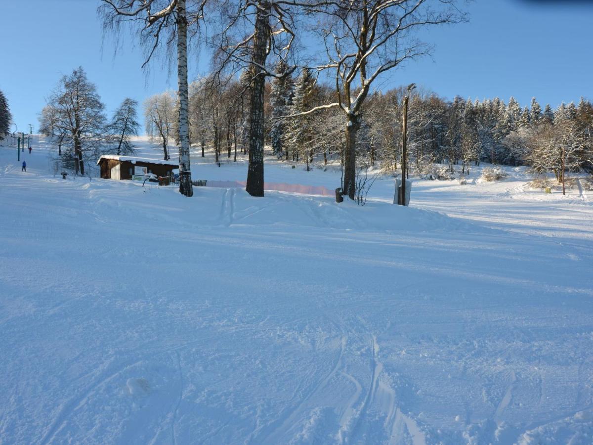Chalet Small At The Edge Of The Forest