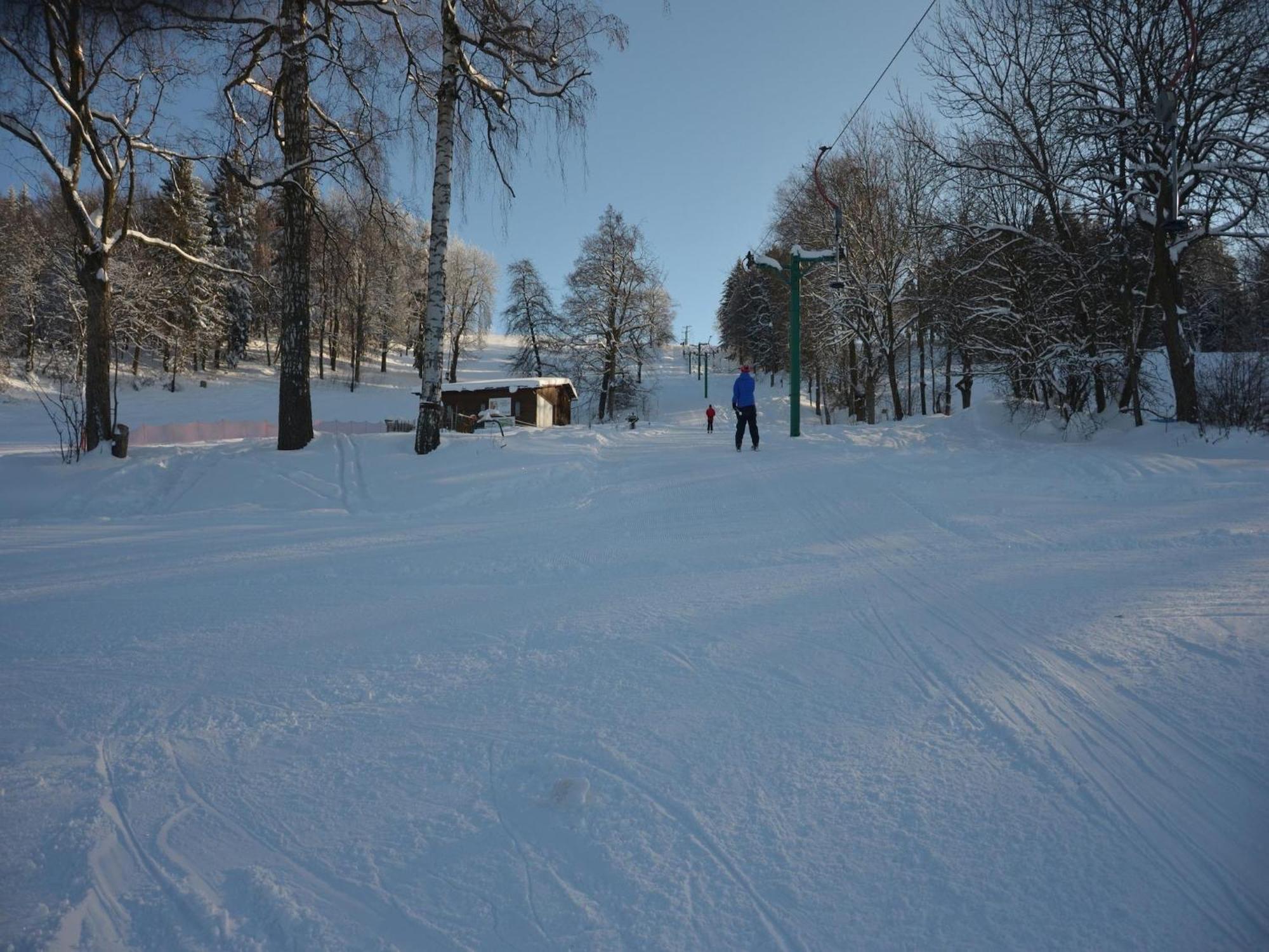 Small At The Edge Of The Forest Chalet Malá Skála