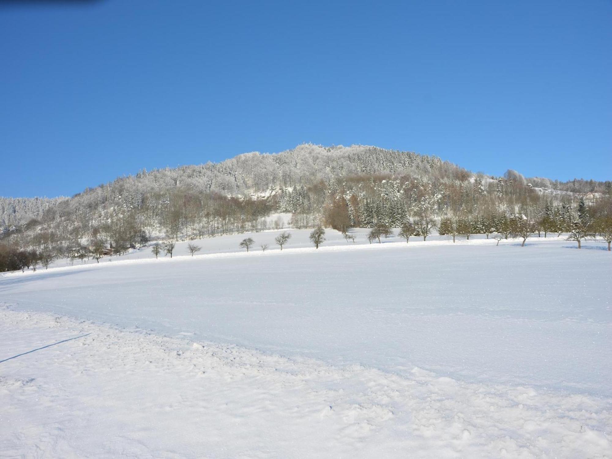 Small At The Edge Of The Forest Mala Skala